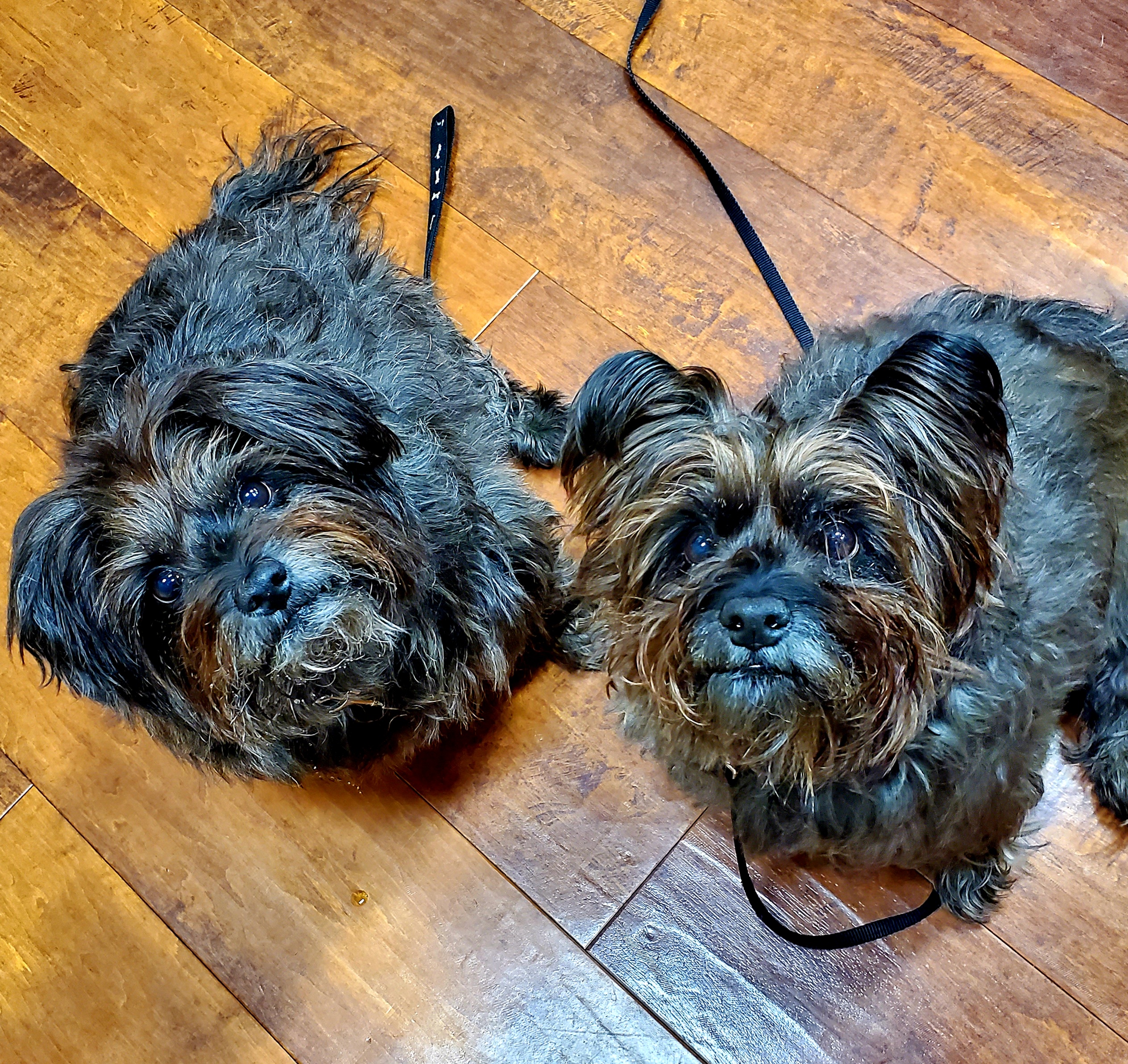 We made it, just on time!